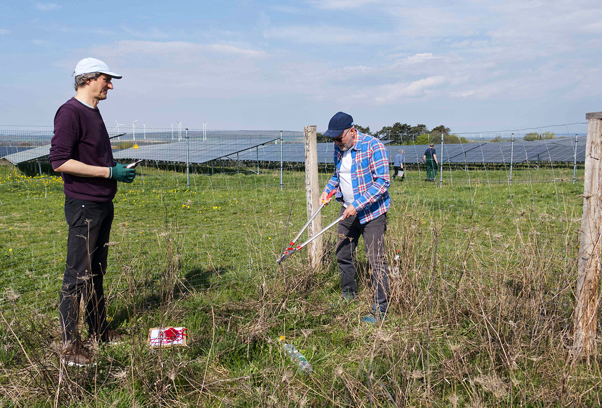 Büsche pflegen und markieren im Solarpark Dörnten