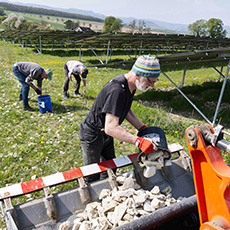 Erfolgreicher Arbeitseinsatz im Solarpark Dörnten am 18.04.2026