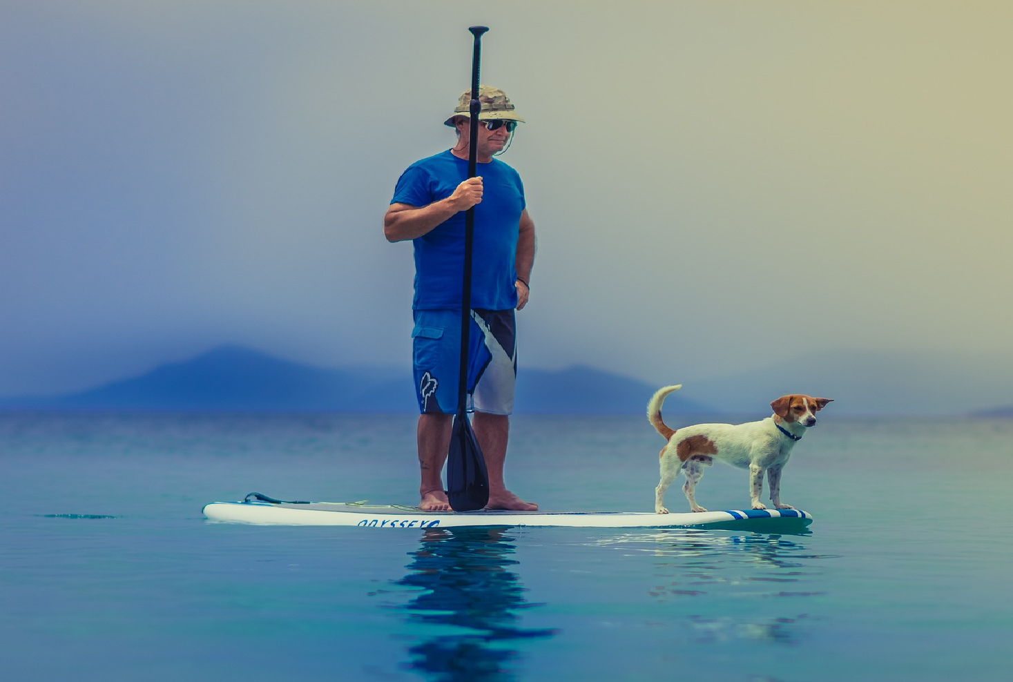 standup paddleboarding 1838969 1920