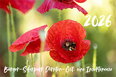 Fotokalender 2026 Bürger-Solarpark Dörnten-Ost: eine Insektenoase