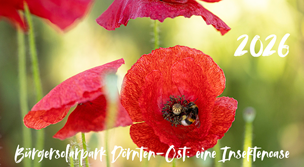 Kalender 2026 - Bürgersolarpark Dörnte-Ost: eine Insektenoase